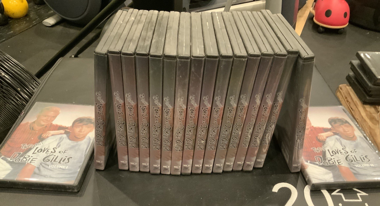 The Many Loves Of Dobie Gillis DVD Lot 20 Titles Rare Nostalgia Family