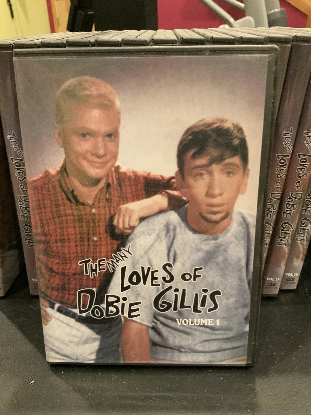 The Many Loves Of Dobie Gillis DVD Lot 20 Titles Rare Nostalgia Family - Image 2