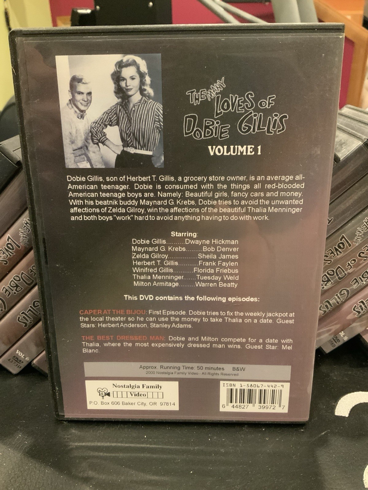 The Many Loves Of Dobie Gillis DVD Lot 20 Titles Rare Nostalgia Family - Image 3