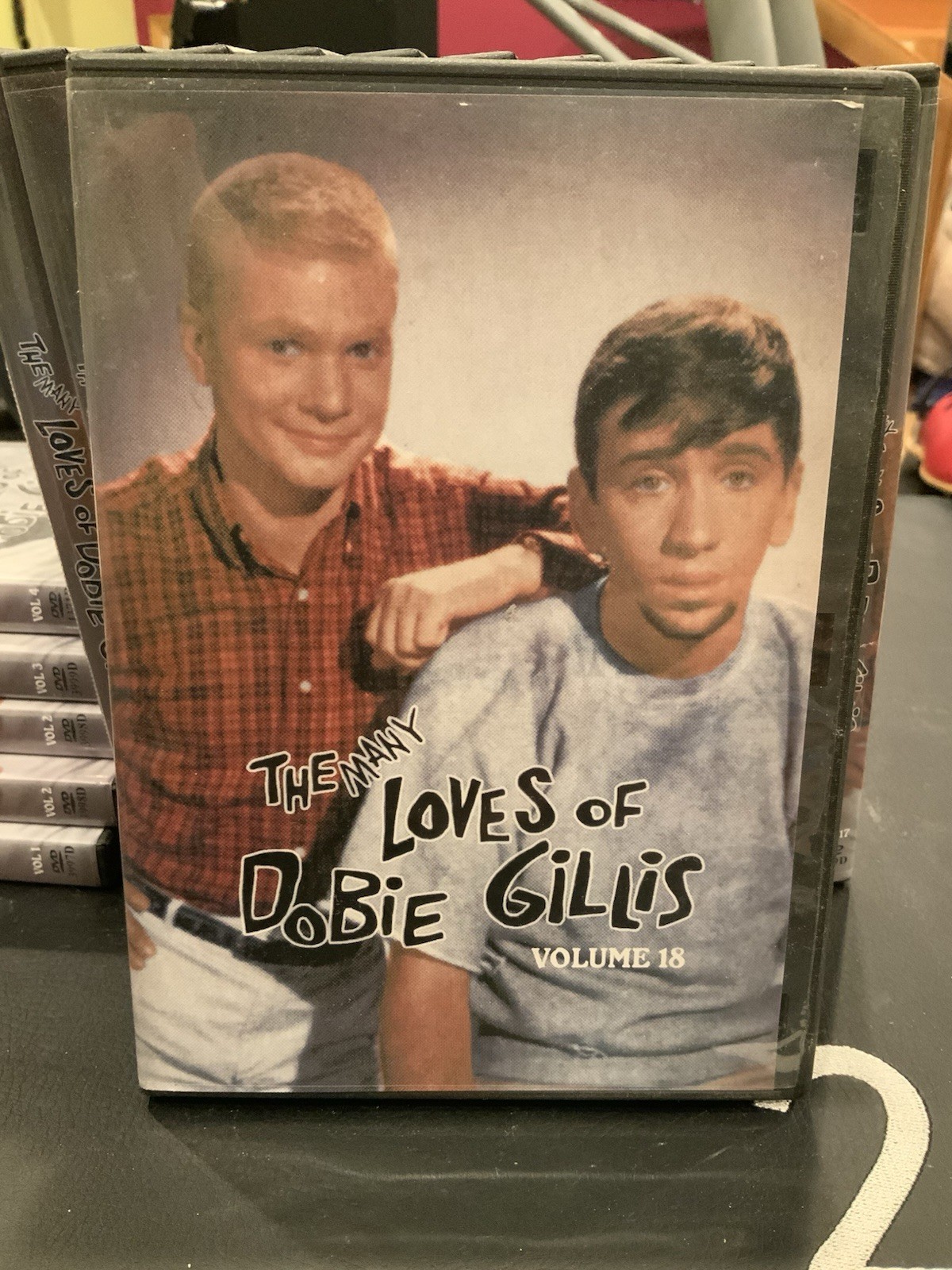 The Many Loves Of Dobie Gillis DVD Lot 20 Titles Rare Nostalgia Family - Image 4