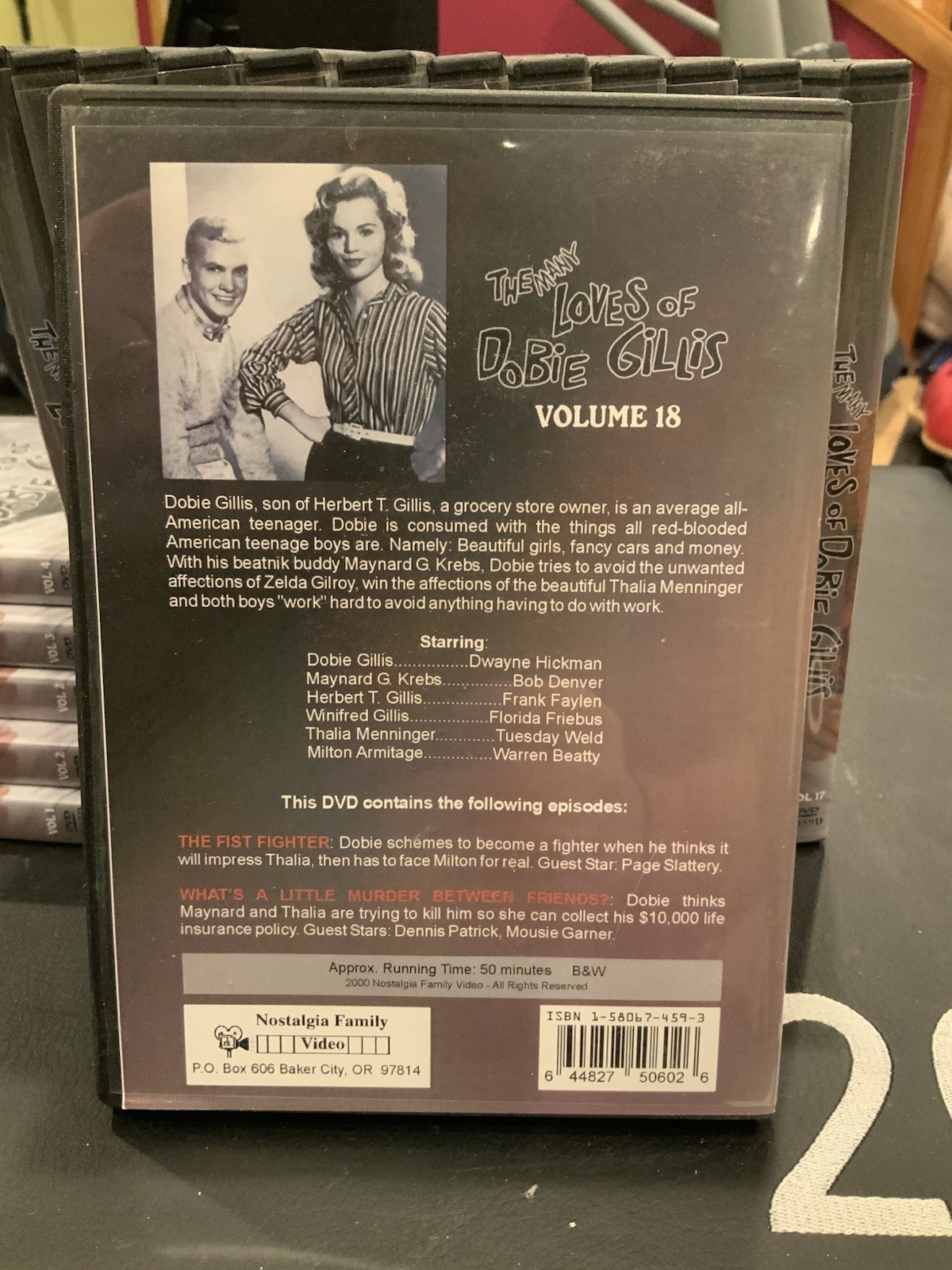 The Many Loves Of Dobie Gillis DVD Lot 20 Titles Rare Nostalgia Family - Image 5