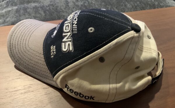 Seattle Seahawks NFL 2010 DIVISION CHAMPIONS NFC WEST Hat Embroidered Blue Reebo - Image 2
