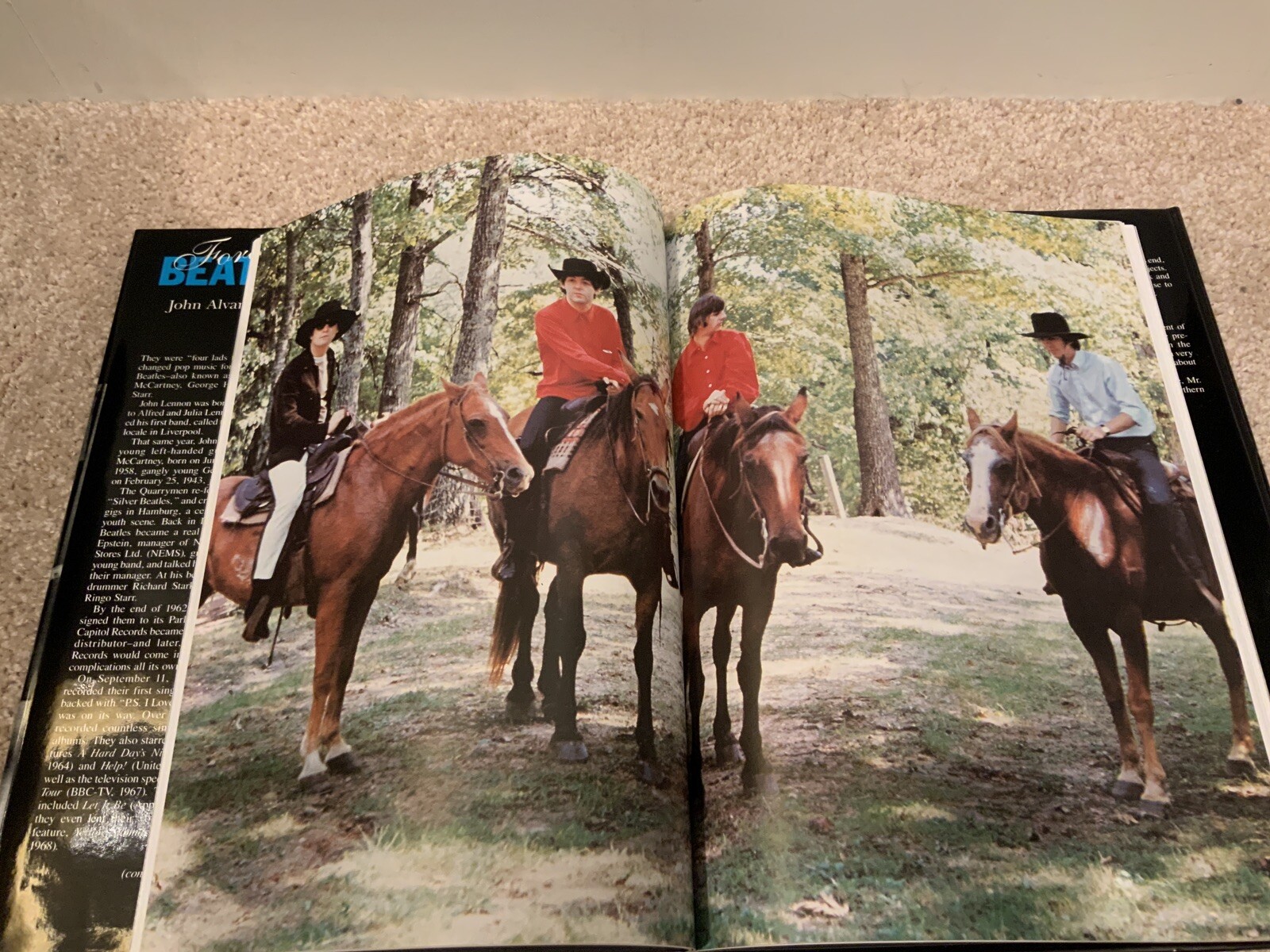 Forever Beatles Hardcover Book John Alvarez Taylor Gorgeous! See Real Pics! - Image 7