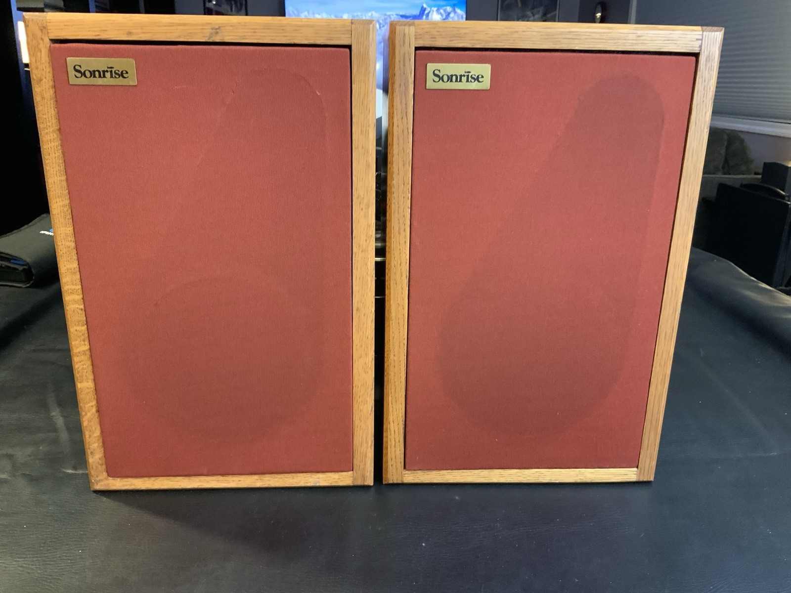 Sonrise Bookshelf Speakers Extremely RARE Cool Red Grills Great Sound